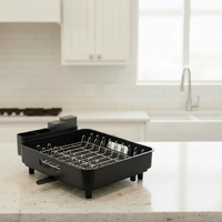 EXTENDNEST – Expandable Dish Rack with Drainage Spout