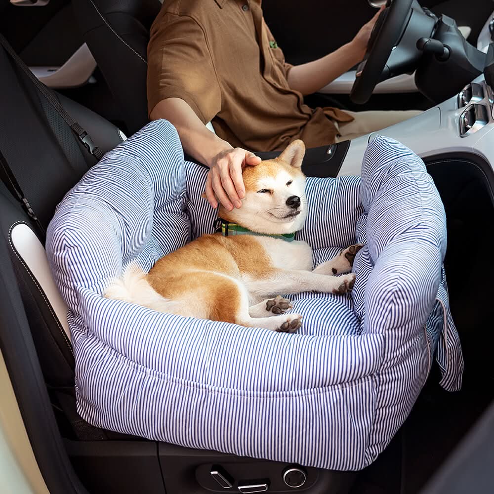 PUPCRUISE – Hundebett fürs Auto für entspannte Autofahrten
