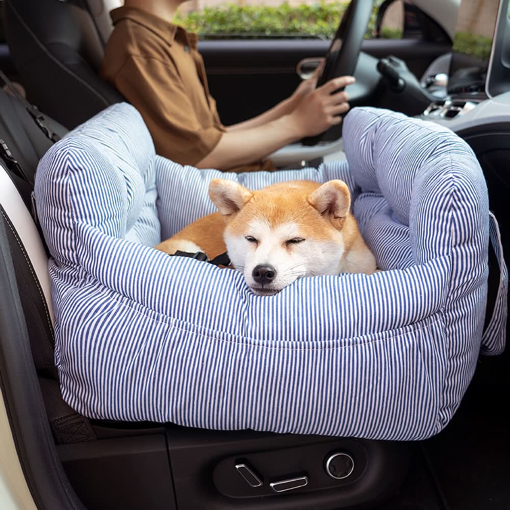 PUPCRUISE – Hundebett fürs Auto für entspannte Autofahrten