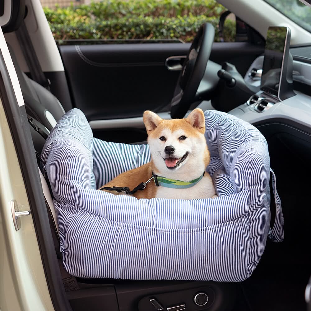 PUPCRUISE – Hundebett fürs Auto für entspannte Autofahrten