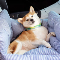 PUPCRUISE – Hundebett fürs Auto für entspannte Autofahrten