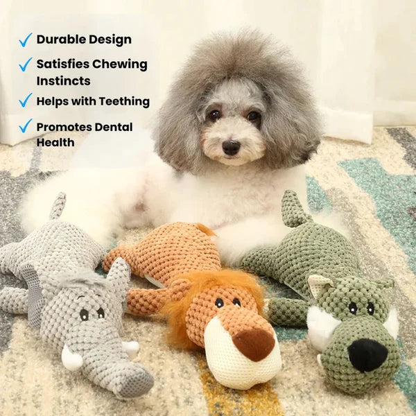 Invinci Paw - Indestructible Dog Chew Toy for Aggressive Chewers & Teeth Cleaning 2