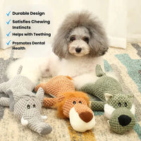 Invinci Paw - Indestructible Dog Chew Toy for Aggressive Chewers & Teeth Cleaning 2