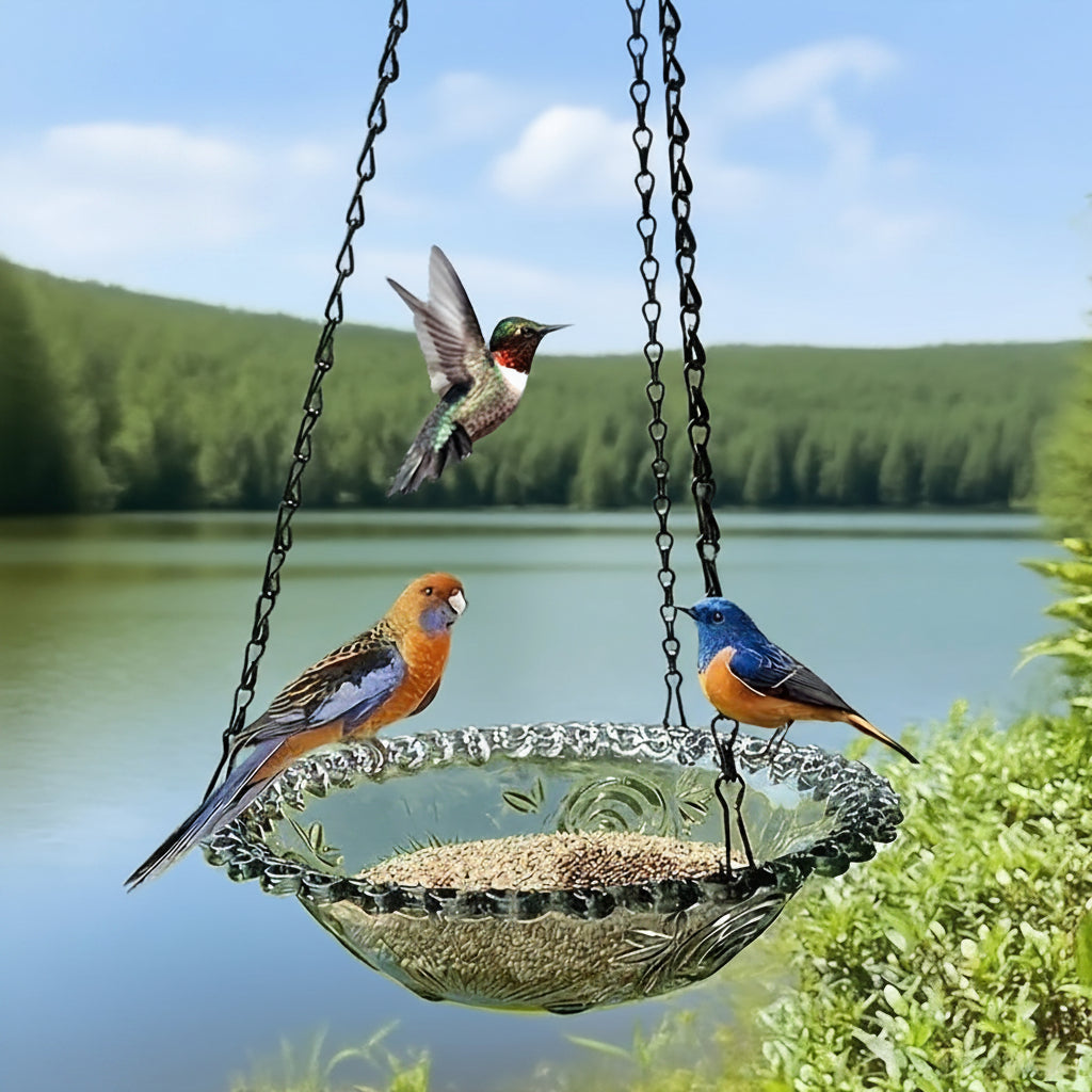 BIRDNEST – Mangeoire suspendue à double bol pour l’observation des oiseaux en extérieur
