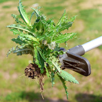 ROOTLIFT - Arrache-mauvaises herbes vertical pour un entretien de jardin plus facile et propre.