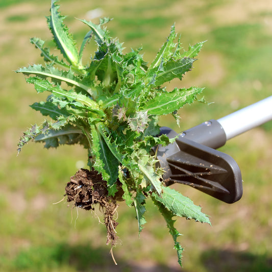 ROOTLIFT - Stand-up weed puller designed for easier and cleaner garden maintenance.
