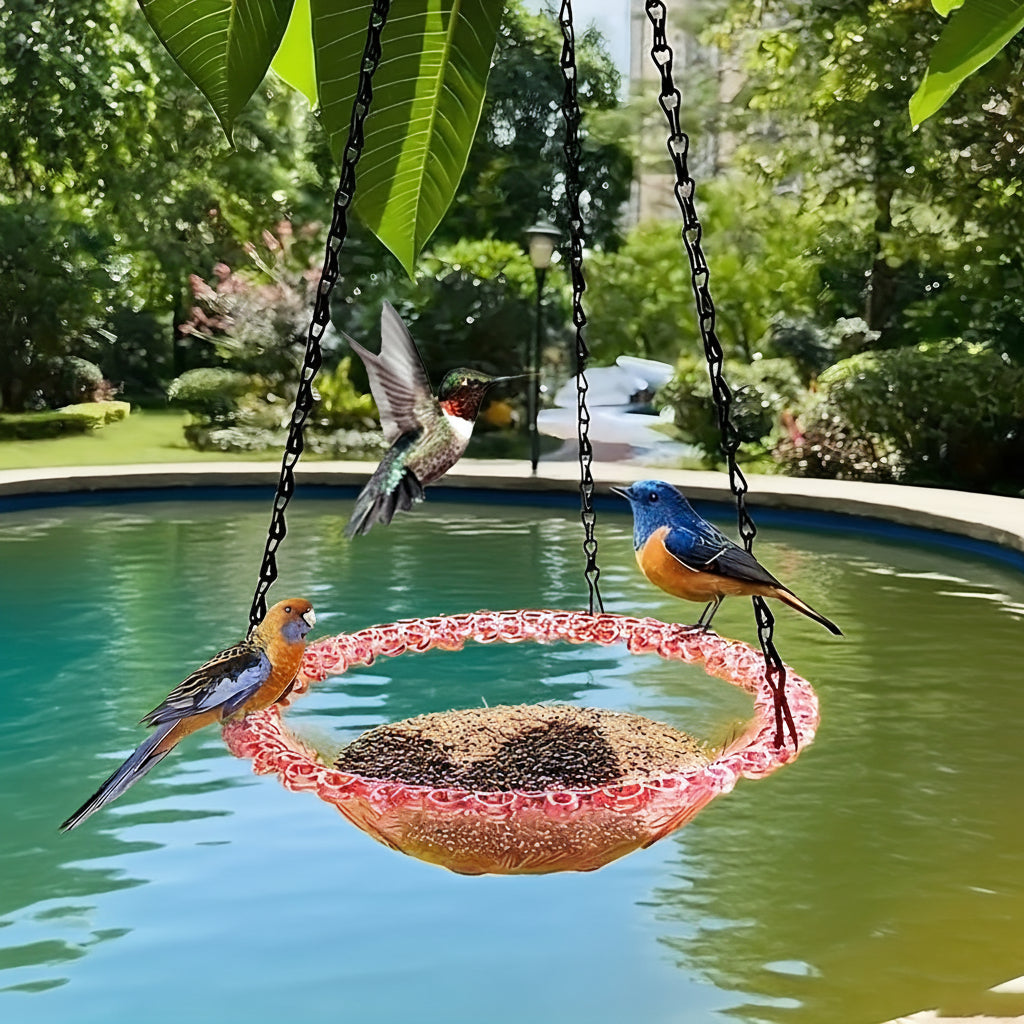 BIRDNEST – Mangeoire suspendue à double bol pour l’observation des oiseaux en extérieur