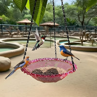 BIRDNEST – Mangeoire suspendue à double bol pour l’observation des oiseaux en extérieur