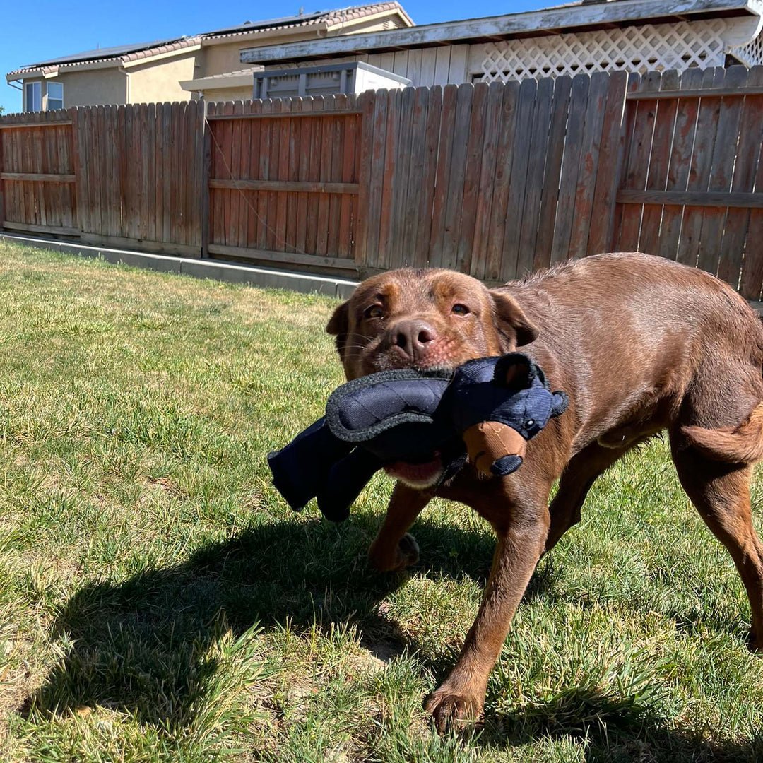 MightyBear - Indestructible Dog Toy for Aggressive Chewers, Squeaky Rubber 3