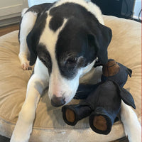 MightyBear - Indestructible Dog Toy for Aggressive Chewers, Squeaky Rubber 7