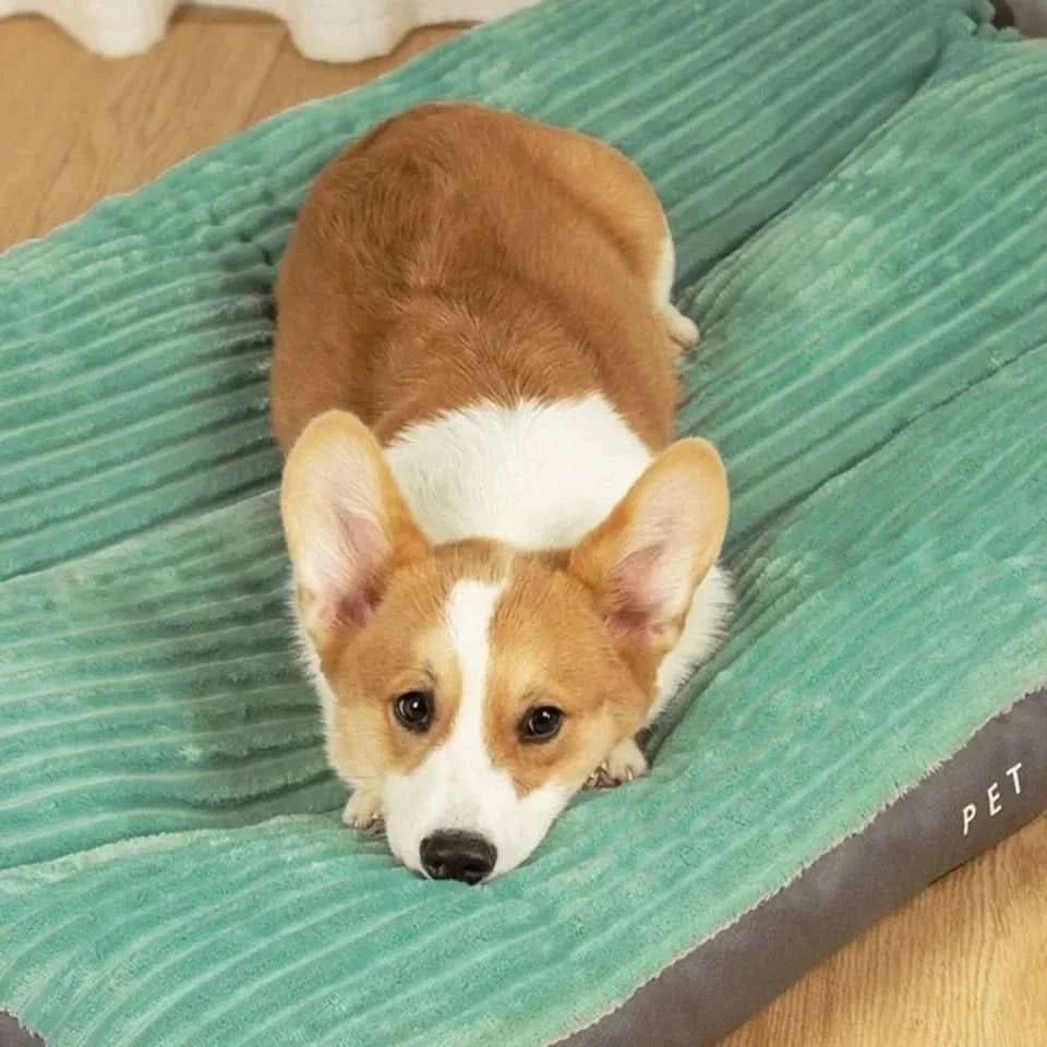Orthopedic Dog Bed - Ultimate Comfort and Joint Relief for All Dogs 1