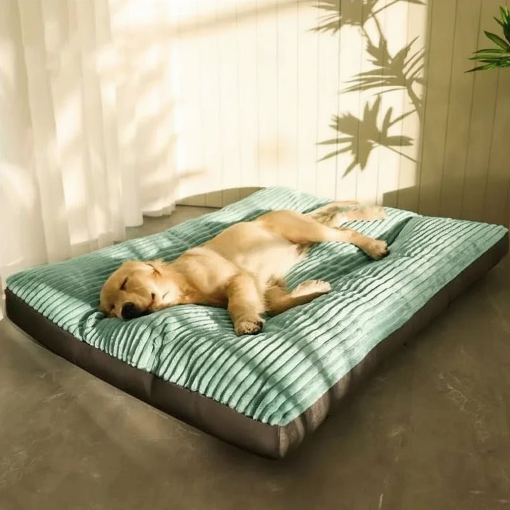 Orthopedic Dog Bed - Ultimate Comfort and Joint Relief for All Dogs 2