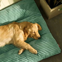 Orthopedic Dog Bed - Ultimate Comfort and Joint Relief for All Dogs 3