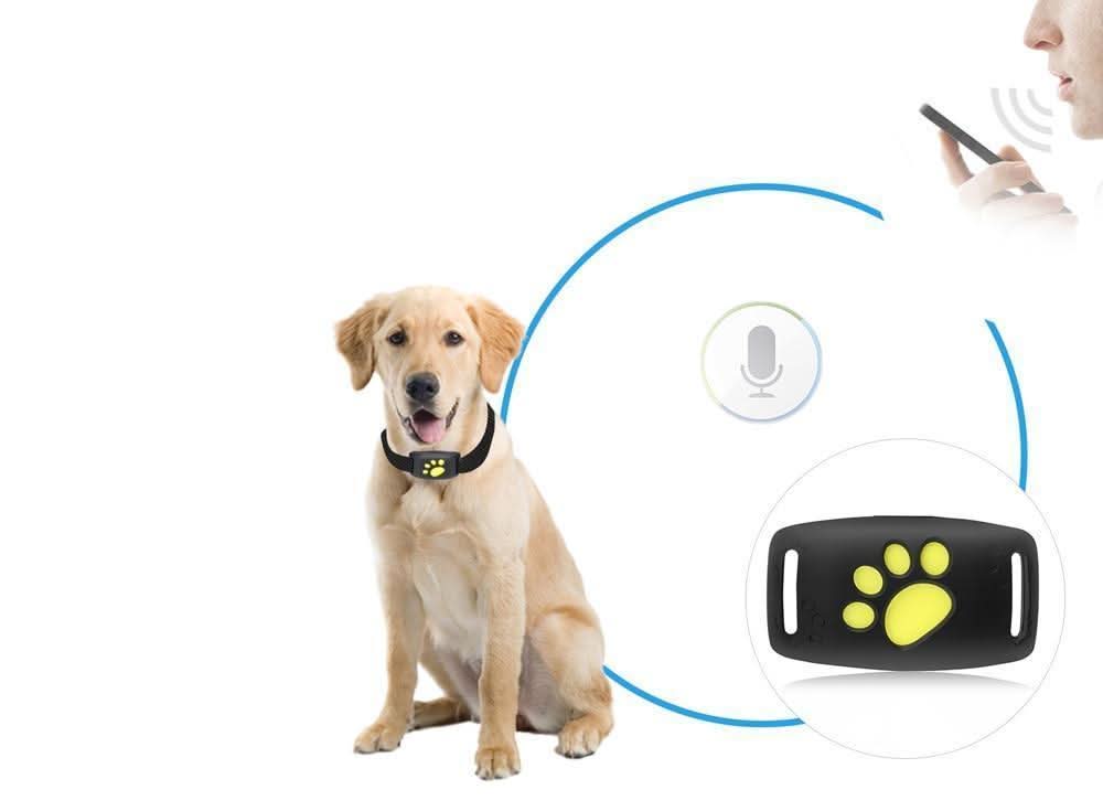 PetSafe GPS Tracker for Cats - Real-Time Location Updates & Compact Design 2