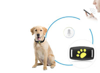 PetSafe GPS Tracker for Cats - Real-Time Location Updates & Compact Design 2