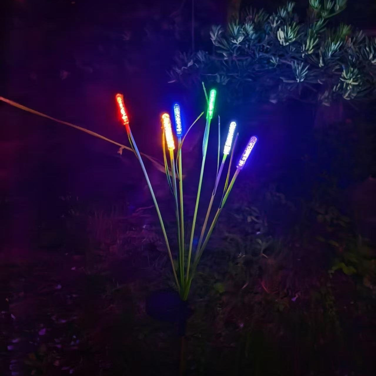 REEDLIVA – Lumières solaires en roseau pour décoration extérieure de paysage