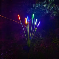REEDLIVA – Lumières solaires en roseau pour décoration extérieure de paysage