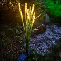 REEDLIVA – Lumières solaires en roseau pour décoration extérieure de paysage