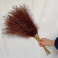 SOFTBELLE – Artificial Pampas for Graceful Decorative Accents