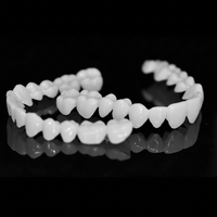 SMILEFLEX – Dental Prosthesis with White Dental Lenses 6