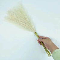 SOFTBELLE – Artificial Pampas for Graceful Decorative Accents