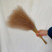 SOFTBELLE – Artificial Pampas for Graceful Decorative Accents