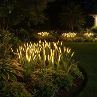 REEDLIVA – Lumières solaires en roseau pour décoration extérieure de paysage