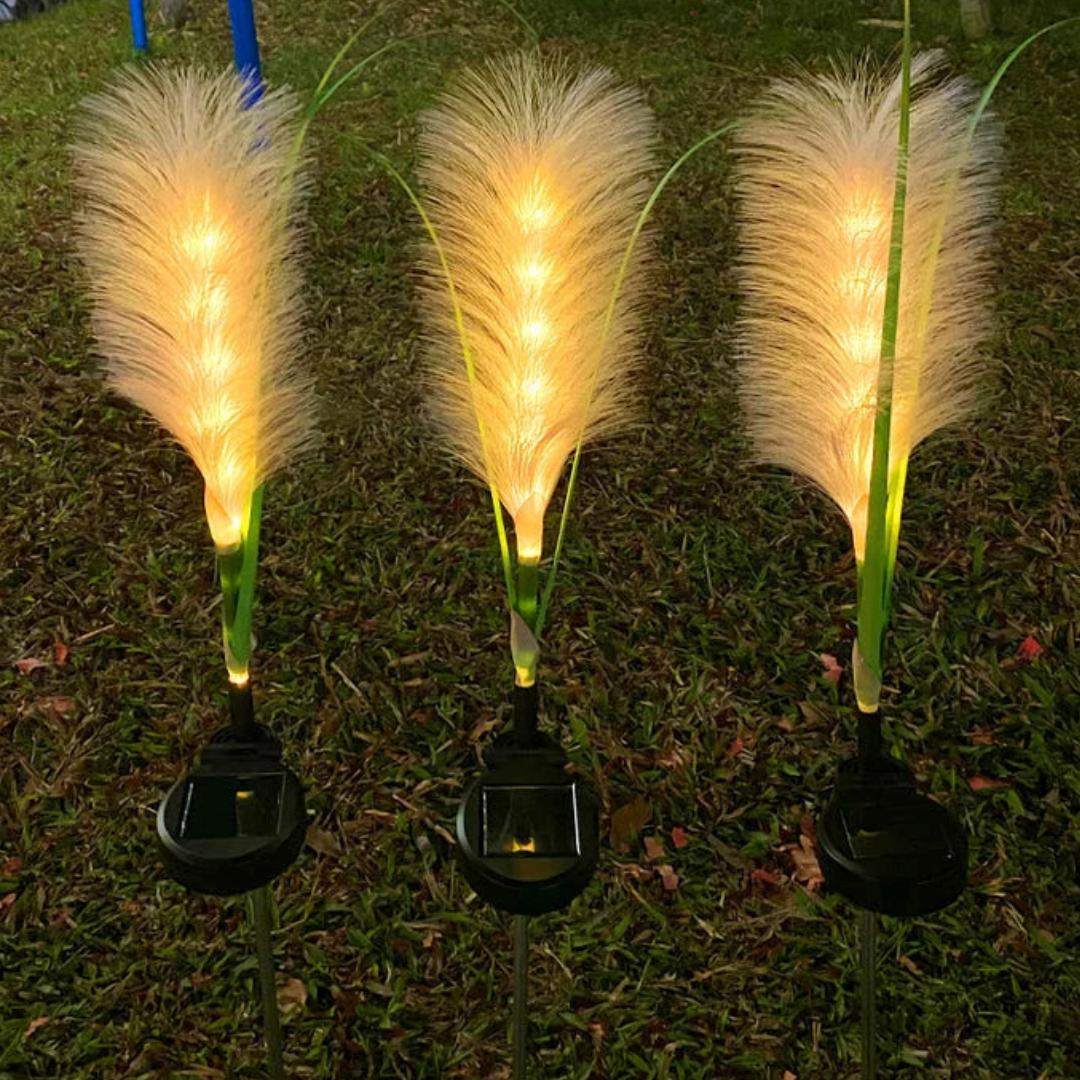 PAMPASGLOW – Solar Garden Lights for Warm Outdoor Ambience