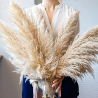PLUMETABLE – Dried Pampas Grass Bouquet for Elegant Table Styling