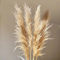 PLUMETABLE – Dried Pampas Grass Bouquet for Elegant Table Styling