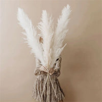 PLUMETABLE – Dried Pampas Grass Bouquet for Elegant Table Styling