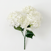 FLORAVIA – Decorative Flowers for Elegant Living Spaces