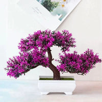 BONSAELLE – Künstlicher Bonsai für eleganten Charme im Innenbereich