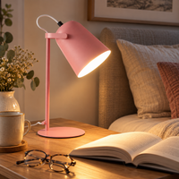 DESKFLARE – Verstellbare Schreibtischlampe für gerichtetes Alltagslicht