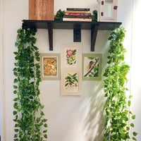 VINEHAVEN – Hanging Wicker Wall Planter Basket