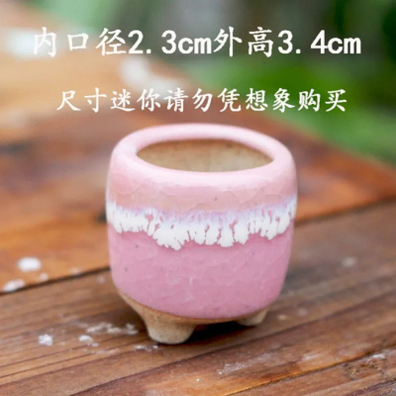 MINICACTA – Mini Ceramic Succulent Pot Set