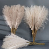 FEATHERBLOOM – Herbe de la pampa artificielle pour des compositions décoratives élégantes