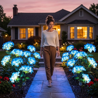 HYDRASHINE – Lampes solaires florales pour un éclat extérieur radieux