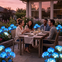 HYDRASHINE – Lampes solaires florales pour un éclat extérieur radieux