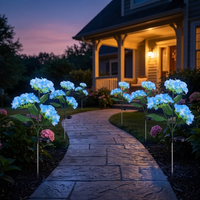 HYDRASHINE – Lampes solaires florales pour un éclat extérieur radieux