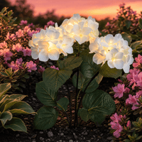 HYDRASHINE – Lampes solaires florales pour un éclat extérieur radieux
