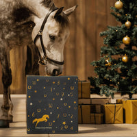 CANTERCHEER – Calendario dell’Avvento equestre per divertirsi in scuderia durante le feste