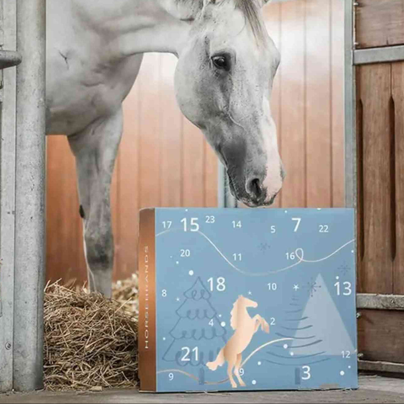 CANTERCHEER – Calendario dell’Avvento equestre per divertirsi in scuderia durante le feste
