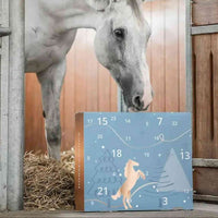 CANTERCHEER – Calendario dell’Avvento equestre per divertirsi in scuderia durante le feste
