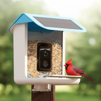 AVIASCOUT – Solar Smart Bird Feeder Camera for Everyday Wildlife Watching